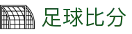比分直播查询平台：足球即时比分、今日足球赛程赛果与联赛动态